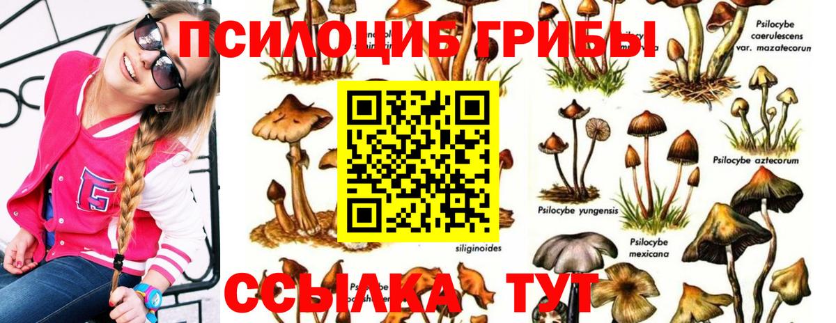 Губаха  Галлюциногенные грибы GOLDEN TEACHER  Вход с VPN  Псилоцибиновые грибы Psilocybine cubensis 